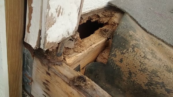 Exterior-Porch-Repair-Damage-Home-Wood-Deck-2421146