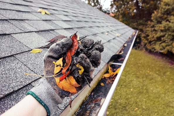 Gloved hand pulling debris from dirty home gutter