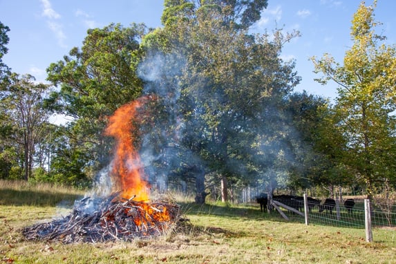 Large burn pile in field