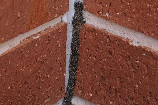 Termite mud tubing on brick exterior