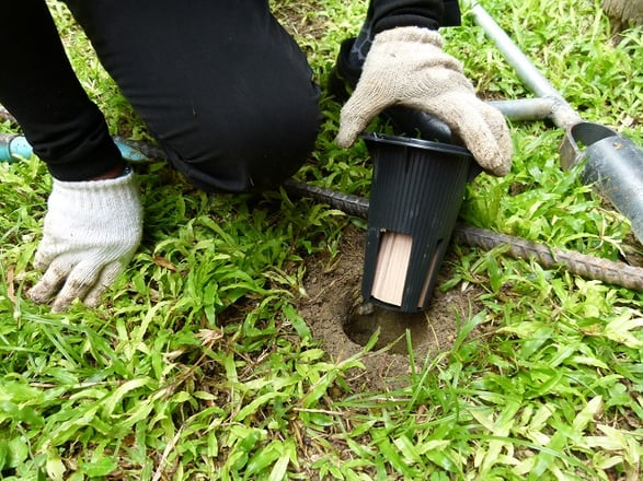 Termite professional putting bait treatment in ground