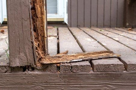 deck termite damage