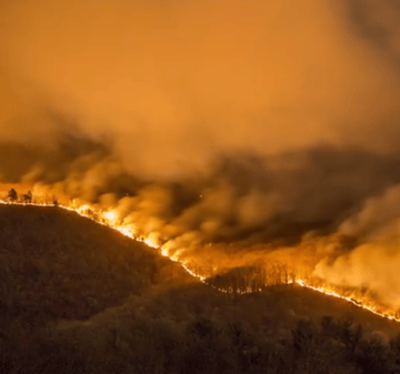 Wildfire in Virginia