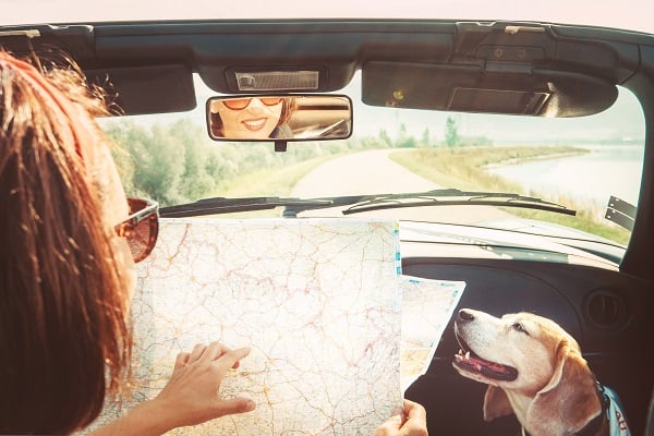 girl in car with dog and paper map