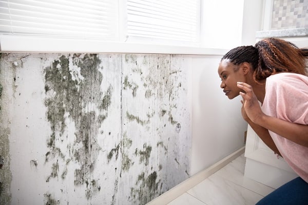 woman looking at black mold on wall
