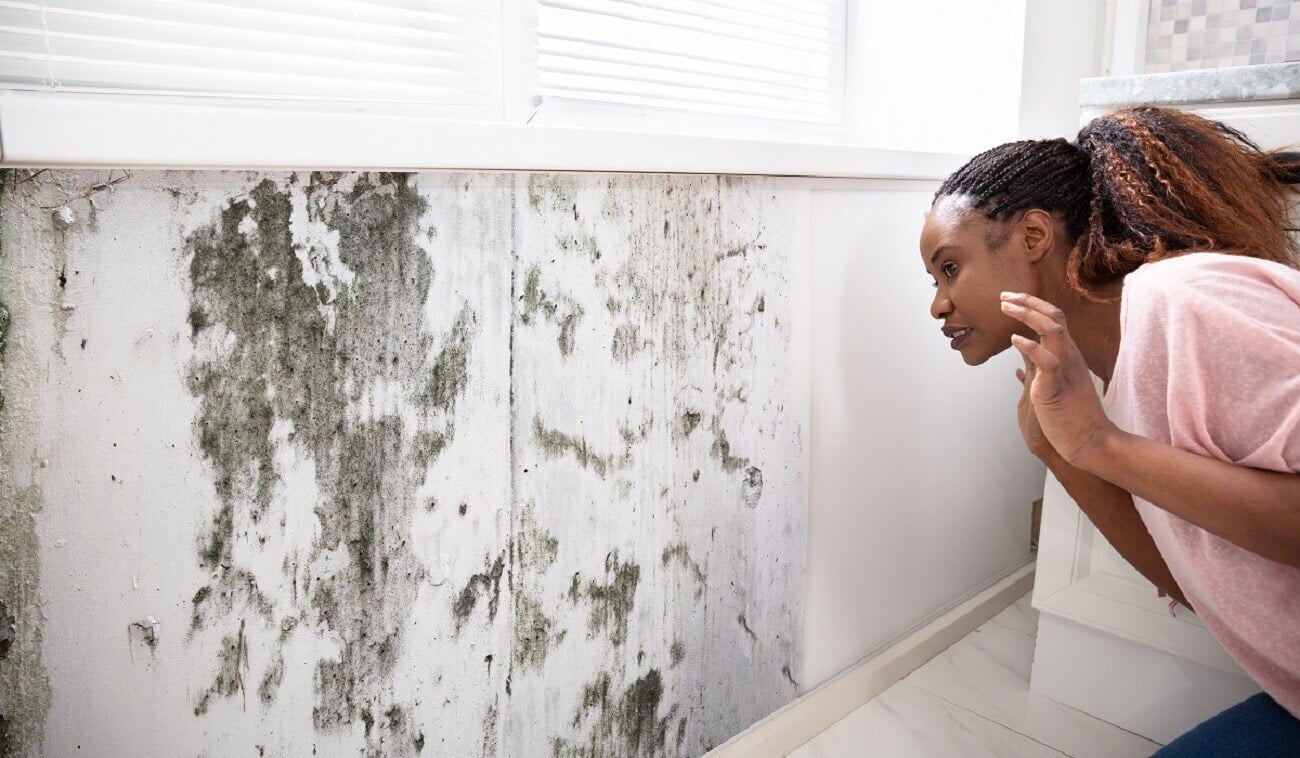 Does Home Insurance Pay for Mold Removal?