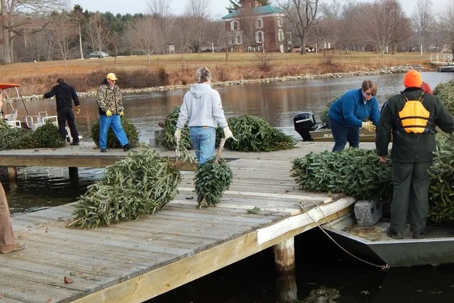 Christmas for the Fish by Virginia State Parks on flickr.com licensed under CC BY 2.0