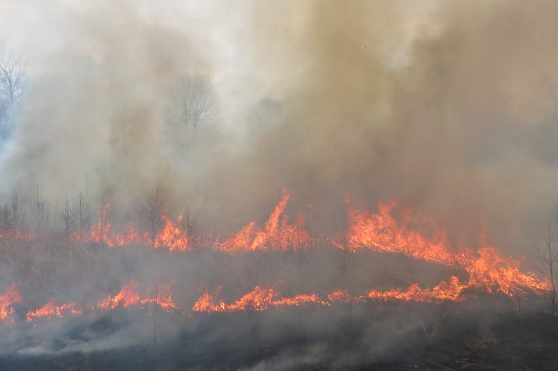 Burn in Virginia Flickr: VA State Parks