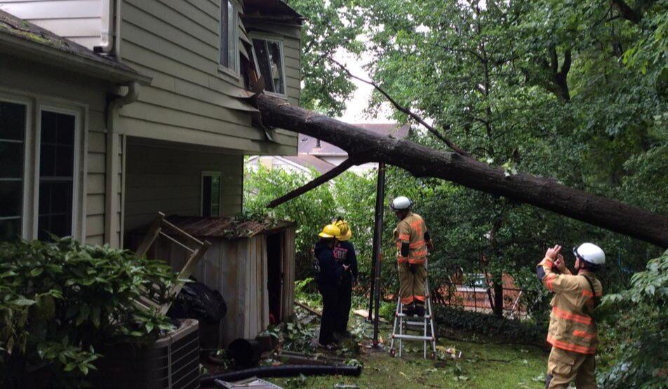 What If My Neighbor's Tree Falls On My Property?