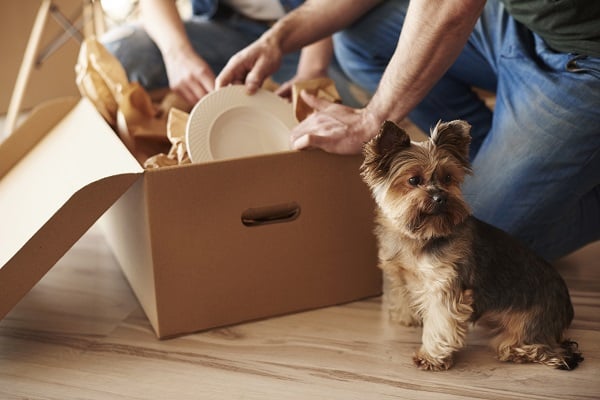 Moving Soon? Here Are Tips, Tricks, and Reminders for A Smooth Move